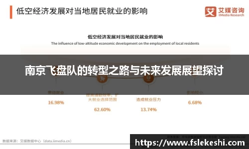 南京飞盘队的转型之路与未来发展展望探讨