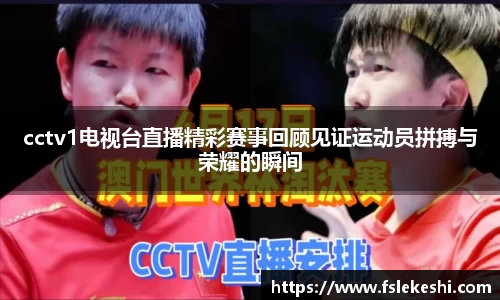bsports官网入口