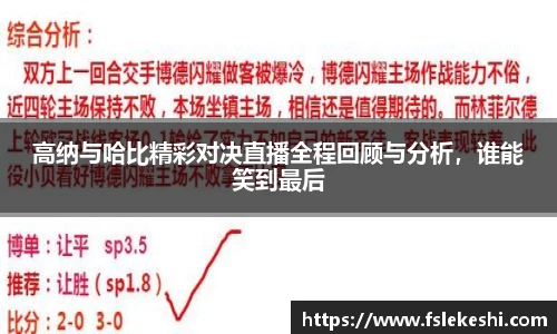 bsports登录入口