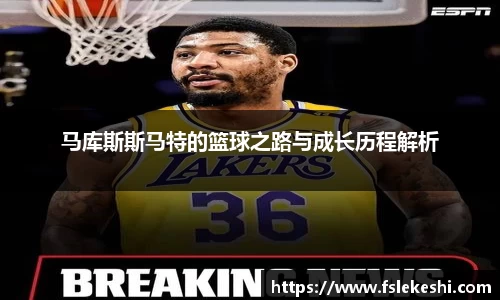 bsports登录入口