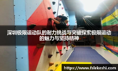 bsports登录入口