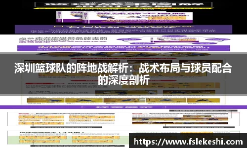 bsports登录入口